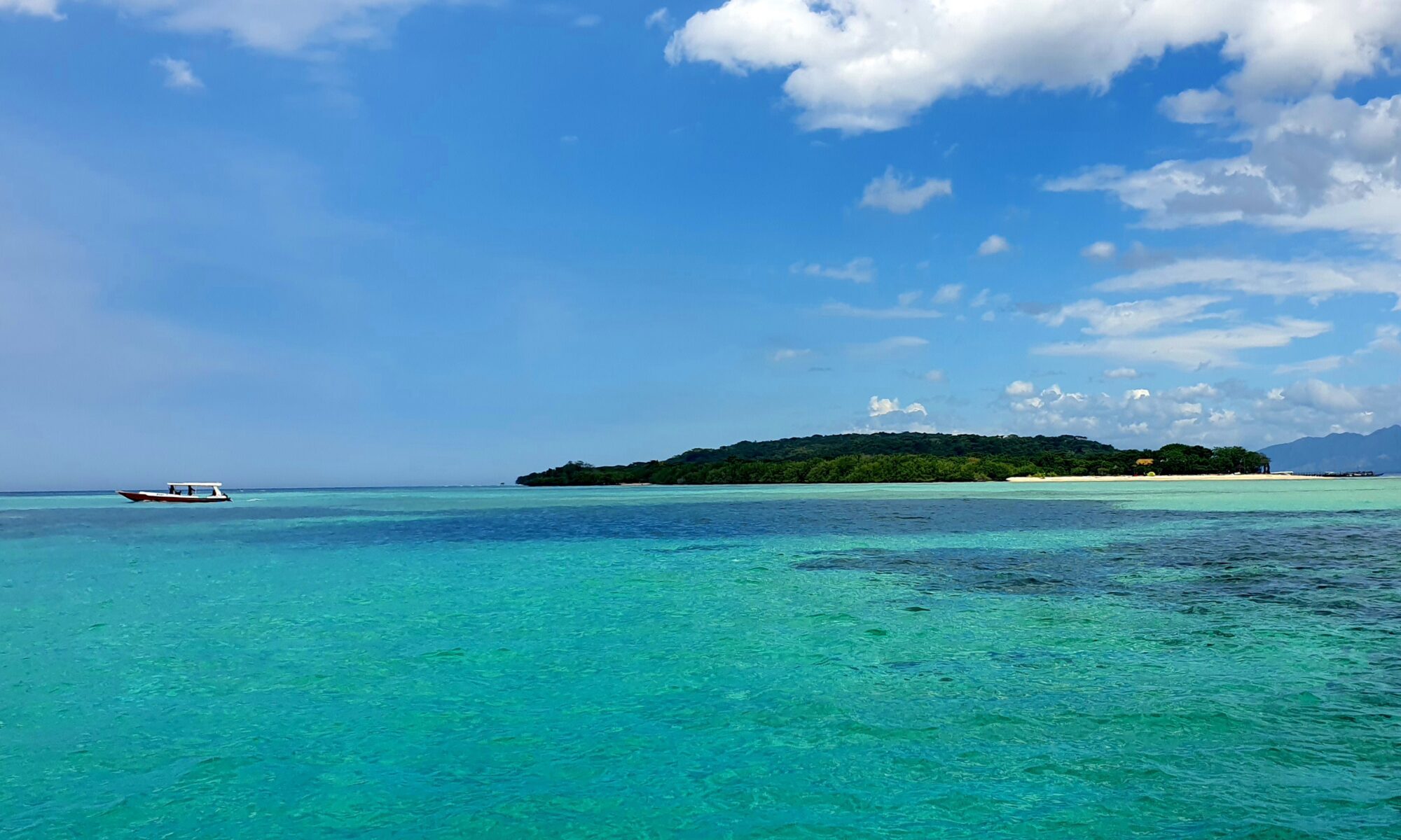 Vlasman Interim Professionals